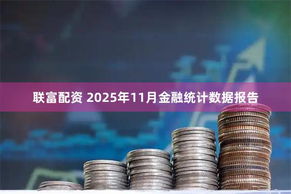 联富配资 2025年11月金融统计数据报告