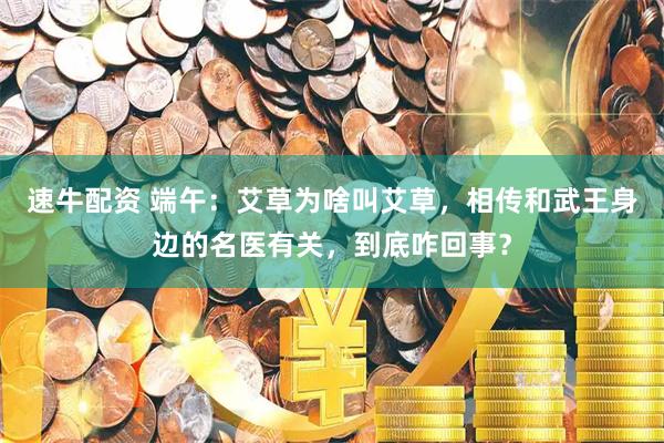 速牛配资 端午：艾草为啥叫艾草，相传和武王身边的名医有关，到底咋回事？